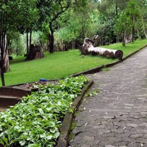 Parque Lagoa do Nado