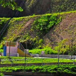 Parque Fernão Dias